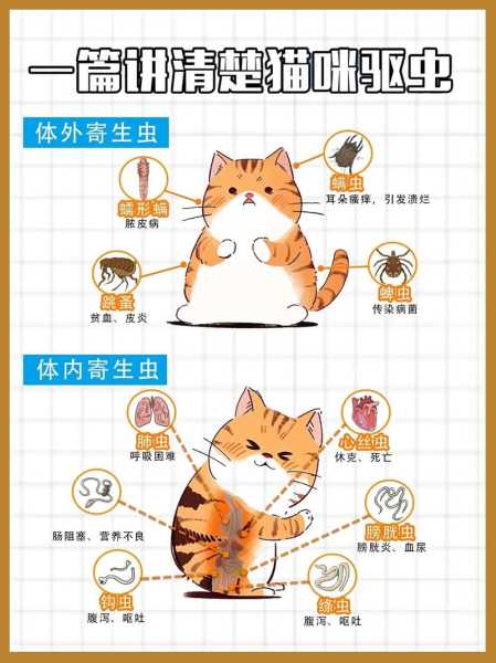 猫咪怎么驱虫（猫咪怎么驱虫最安全）