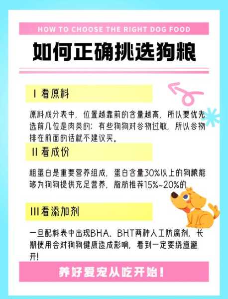 如何给狗狗挑选合适的狗粮（如何给狗狗挑选合适的狗粮品牌）