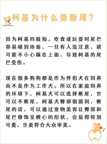 揭秘柯基犬为什么要断尾（柯 基为什么要断尾）