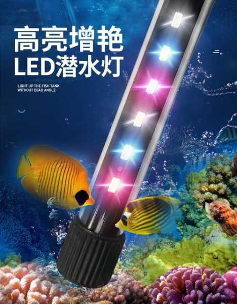 水族照明器材的介绍以及特点（水族照明用什么灯最好）