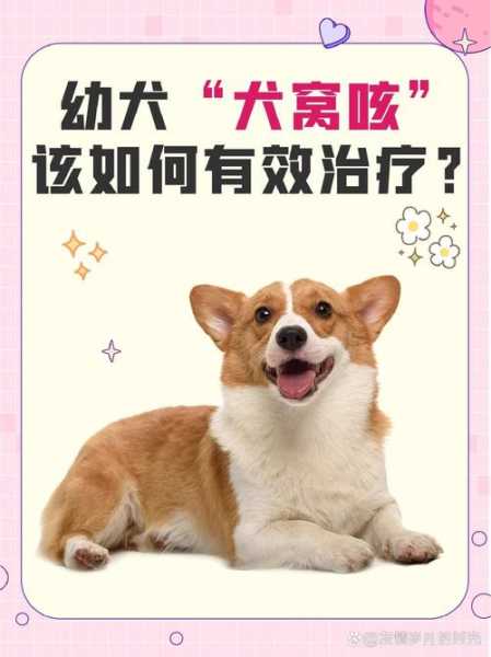 什么叫犬窝咳大概几天能好（犬窝咳百度百科）