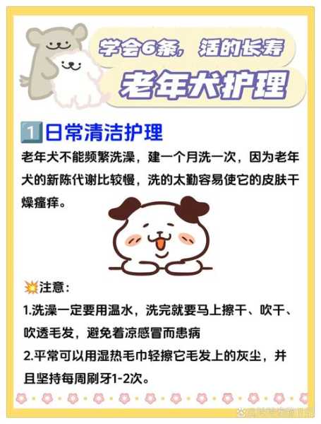 老年犬如何护理（老年犬如何护理,常备些什么药物?）