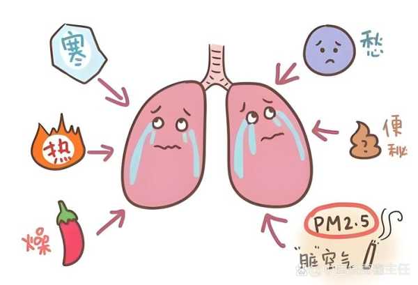 小孩从小接触宠物好吗?（孩子接触宠物后会引起发烧吗）