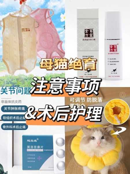 猫做绝育术后护理（猫咪绝育后护理）