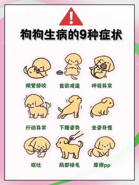 狗狗生病了怎么看（狗狗生病了怎么看待）