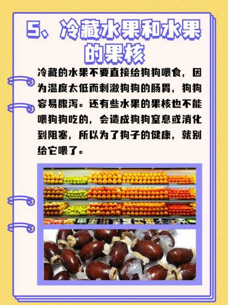 狗狗不能吃的水果和食品（狗狗不能吃的水果和食品是什么）