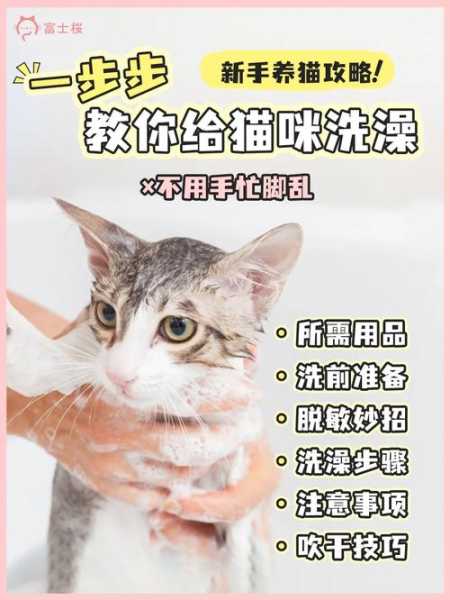 给猫洗澡怎样让他安静不挠人（怎么给猫洗澡避免被挠）