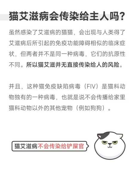 猫有艾滋病会传染人吗（猫有艾滋病?）