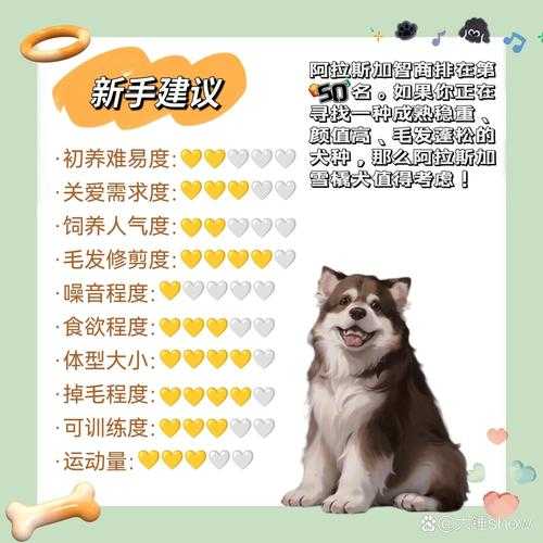 阿拉斯加犬感冒了怎么办（阿拉斯加幼犬感冒了怎么办）