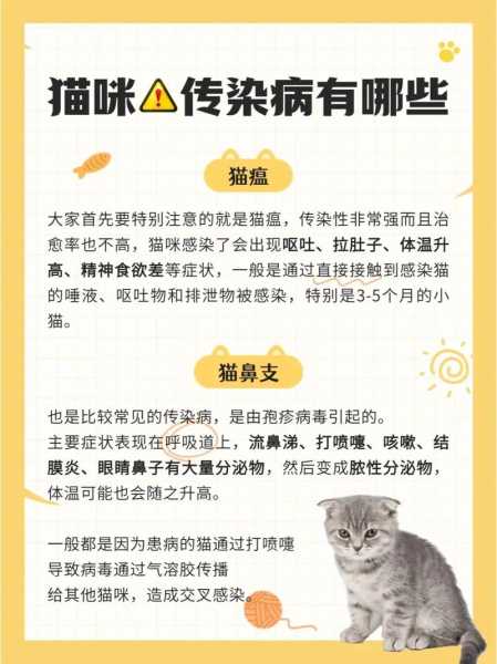 怎么预防猫咪传染病（怎么预防猫咪感染猫瘟）