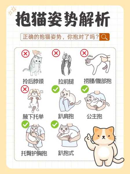 怎么让猫抱你（怎么让猫抱自己的手）