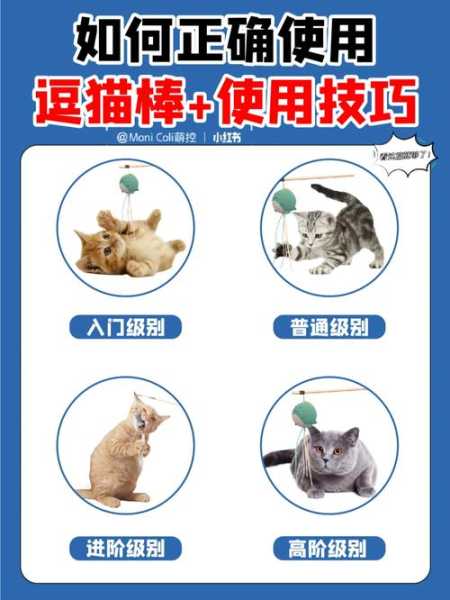 逗猫棒的使用方法（逗猫棒的作用）