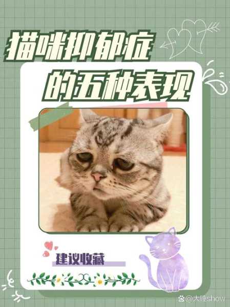 猫咪会抑郁症吗（猫咪会抑郁嘛）