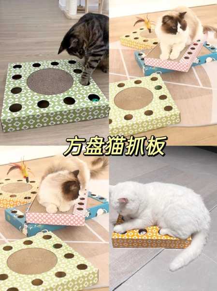 猫玩具买什么比较好（家猫玩具）