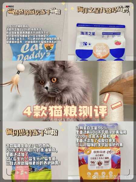 猫咪可以多久不吃猫粮（猫能几天不吃猫粮）