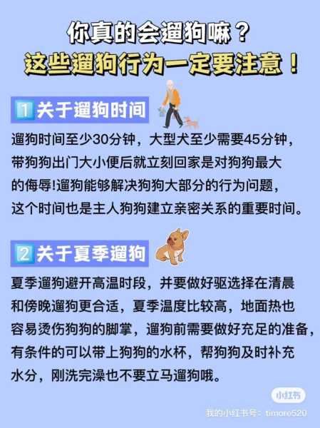 遛狗的时候一定要注意些什么（遛狗该怎么办）