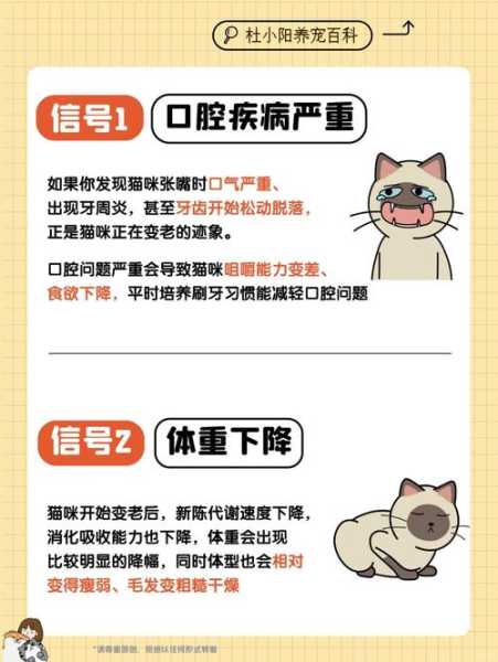 猫咪正在变老的症状有什么（猫咪正在变老的症状有什么表现）