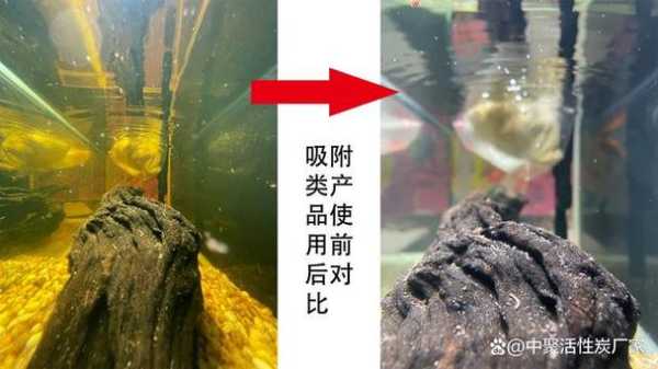 鱼缸水质变黄一缸鱼死了（鱼缸水突然变黄了）